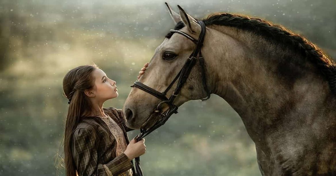 horse